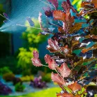 Maatskappy 5 beeld EFEKTO Termite Control in Johannesburg GP