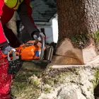 Maatskappy 20 beeld EGM TREE FELLING Trimmings in Benoni GP