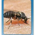 Maatskappy 4 beeld ENVIROKONSULT Water Resource Management in Pretoria GP