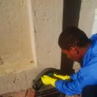 Business 1 image EYE OF AFRICA PEST CONTROL Pest Management in Kempton Park GP