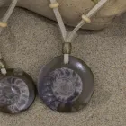 Business 3 image FANGS AND FOSSILS Shark Teeth Necklaces in Durban KZN