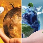 Business 3 image FIREFLY PRODUCTS Solar Panels in Hillcrest KZN