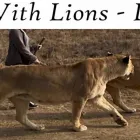 Business 4 image FUTECHSOL IT Web Design Polokwane in Polokwane LP