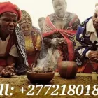 Business 7 image HEALER PROFESSOR BONGO Women's Clinic in Polokwane LP