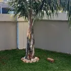 Maatskappy 4 beeld HMC PAINTING CONTRACTORS Waterproofing Roofs in Kempton Park GP