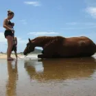 Maatskappy 2 beeld HORSEBACK BEACH ADVENTURES Riding in Durban KZN