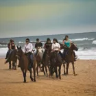 Maatskappy 11 beeld HORSEBACK BEACH ADVENTURES Riding in Durban KZN