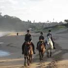 Maatskappy 12 beeld HORSEBACK BEACH ADVENTURES Riding in Durban KZN