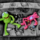 Maatskappy 6 beeld HUNTING MOBILITY EVOLUTION Tutoring in Edenvale GP