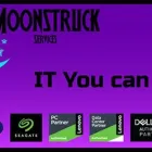 Maatskappy 3 beeld I.T. AT MOONSTRUCK SERVICES Voip in Pretoria GP