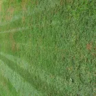 Business 1 image INSTANT TURF CC Organic Compost in Camperdown KZN