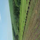 Business 3 image INSTANT TURF CC Organic Compost in Camperdown KZN