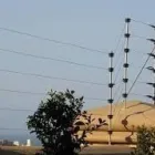 Business 7 image INYALA SOLUTIONS (PTY) LTD Vehicle Engine Protection in Boksburg GP