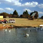 Business 3 image KARIBA RANCH Weddings in Vereeniging GP