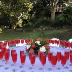 Maatskappy 3 beeld MACNUT FARM WEDDING & FUNCTION VENUE Weddings in Durban KZN