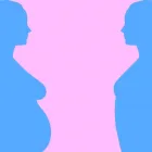 Maatskappy 2 beeld MADIBA WOMENS CLINIC Safe Abortion in Pretoria GP