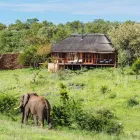 Maatskappy 3 beeld MADIKWE LODGE SOUTH AFRICA Safaris And Operators in Cape Town WC