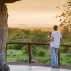 Maatskappy 10 beeld MADIKWE LODGE SOUTH AFRICA Safaris And Operators in Cape Town WC