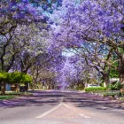 Maatskappy 3 beeld MARTIN VERMAAK ATTORNEYS PRETORIA Law Firms Attorneys in Pretoria GP