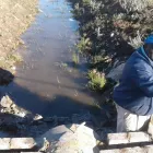 Maatskappy 5 beeld MAXHELA TRADING Security Jobs in Port Elizabeth EC