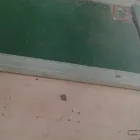 Maatskappy 15 beeld MAXHELA TRADING Security Jobs in Port Elizabeth EC