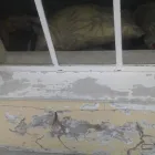 Maatskappy 23 beeld MAXHELA TRADING Security Jobs in Port Elizabeth EC