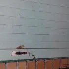 Maatskappy 27 beeld MAXHELA TRADING Security Jobs in Port Elizabeth EC