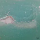 Maatskappy 30 beeld MAXHELA TRADING Security Jobs in Port Elizabeth EC