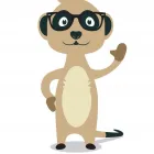 Maatskappy 2 beeld MEERKAT Savings in Cape Town WC