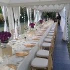 Maatskappy 10 beeld MICHAEL MNGUNI Waitress Service in Johannesburg GP