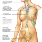 Maatskappy 12 beeld MOBILE MASSAGE SERVICE - DURBAN Wellness Days in Durban KZN