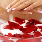 Maatskappy 2 beeld MONALISA PLATINUM NAILS Tips French /Colour Acrylic in Roodepoort GP