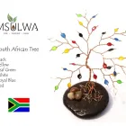 Maatskappy 7 beeld MSULWA LIFE Wholesale in Durban KZN