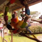 Maatskappy 1 beeld PARROTS SA Yellow Collared Macaws in Benoni GP