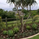 Maatskappy 3 beeld PAUL'S PLANTSCAPES LANDSCAPING & GARDEN MAINTENANCE Water Features in Durban KZN