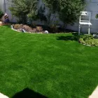 Business 1 image PERFECT GRASS Synthetic Lawn in Cape Town WC