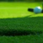 Business 7 image PERFECT GRASS Synthetic Lawn in Cape Town WC