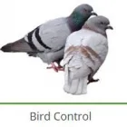 Maatskappy 8 beeld PEST CONTROL SPECIALISTS (PRETORIA CENTRAL & NORTH) Pretoria North Pest control specialists in Centurion GP