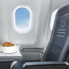 Maatskappy 2 beeld PETPORT ANIMAL AND PET TRANSPORT Pets in Cape Town WC