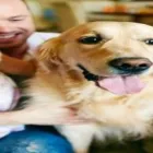 Business 1 image PETPORT PET RELOCATION SERVICE Pets in Johannesburg GP