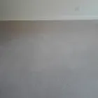 Business 1 image PINKY & THE STAIN PROFESSIONAL CARPET CLEANERS Upholstery cleaners in KZN in Port Elizabeth EC