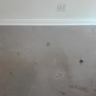 Business 2 image PINKY & THE STAIN PROFESSIONAL CARPET CLEANERS Upholstery cleaners in KZN in Port Elizabeth EC