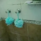 Business 5 image PINKY & THE STAIN PROFESSIONAL CARPET CLEANERS Upholstery cleaners in KZN in Port Elizabeth EC