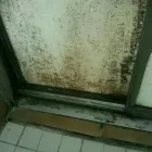 Business 7 image PINKY & THE STAIN PROFESSIONAL CARPET CLEANERS Upholstery cleaners in KZN in Port Elizabeth EC