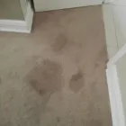 Business 32 image PINKY & THE STAIN PROFESSIONAL CARPET CLEANERS Upholstery cleaners in KZN in Port Elizabeth EC