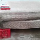 Business 47 image PINKY & THE STAIN PROFESSIONAL CARPET CLEANERS Upholstery cleaners in KZN in Port Elizabeth EC