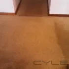 Business 55 image PINKY & THE STAIN PROFESSIONAL CARPET CLEANERS Upholstery cleaners in KZN in Port Elizabeth EC