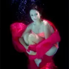 Business 6 image PRO DESIGN PHOTOGRAPHERS Photography in Port Elizabeth EC