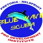 Business 10 image PRO DEVELOPMENT INSTITUTE (BLUE WAVE SCUBA NELSPRUIT) Ssi in Nelspruit MP