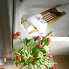 Maatskappy 11 beeld PROSPECT COTTAGE, KNYSNA Self Catering in Knysna WC